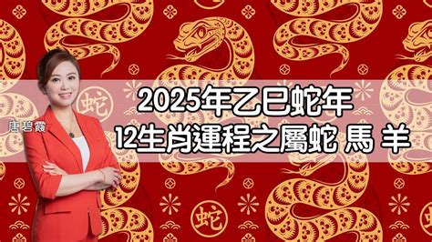 金蛇年2025|麥玲玲2025蛇年運程｜12生肖財運+愛情總運勢全面睇+開運大